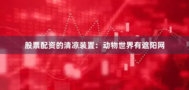 股票配资的清凉装置：动物世界有遮阳网