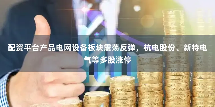 配资平台产品电网设备板块震荡反弹，杭电股份、新特电气等多股涨停