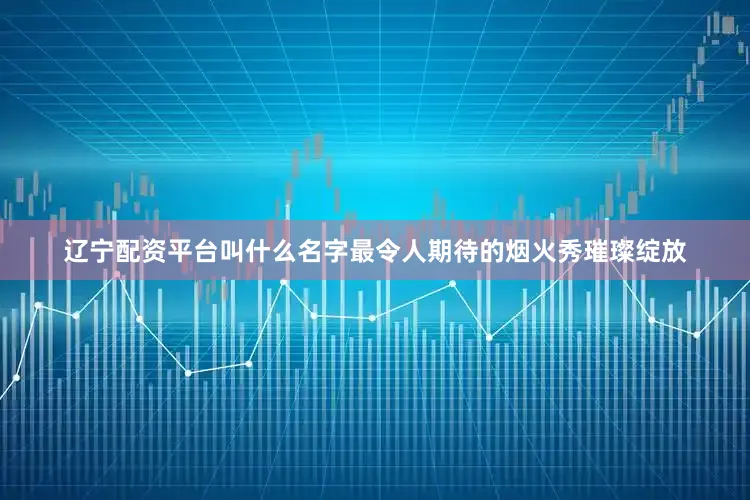 辽宁配资平台叫什么名字最令人期待的烟火秀璀璨绽放
