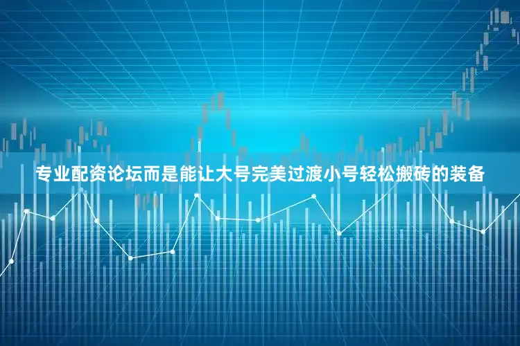 专业配资论坛而是能让大号完美过渡小号轻松搬砖的装备