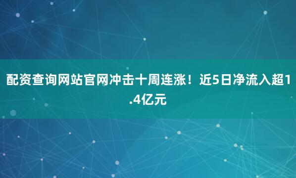 配资查询网站官网冲击十周连涨！近5日净流入超1.4亿元