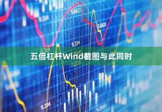 五倍杠杆　　Wind截图　　与此同时